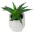 Artificial Potted Aloe Succulent in Cement Pot - 6" - IMAGE 3