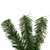 Deluxe Dorchester Pine Artificial Christmas Wreath - 12" - Unlit - IMAGE 5