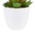 Mini White Potted Artificial Succulent Plant - 4"