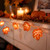 LED Maple Leaves Fall Harvest Lights - Warm White - 4.75' Clear Wire - 10ct - IMAGE 1