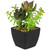 Potted Artificial Succulent Arrangement - 6" - IMAGE 4