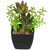 Potted Artificial Succulent Arrangement - 6" - IMAGE 5
