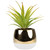 Artificial Agave Plant in Gold Ceramic Pot - 7" - IMAGE 4