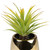 Artificial Agave Plant in Gold Ceramic Pot - 7" - IMAGE 5