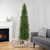 7.5' Silver Lake Fir Pencil Artificial Christmas Tree, Unlit - IMAGE 2