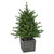 Real Touch™️ Pre-Lit Potted Deluxe Russian Pine Artificial Christmas Tree - 4' - Warm White LED Lights - IMAGE 2