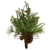 21" Pine Christmas Tree Wall Hanging Decoration with Pinecones - IMAGE 1