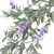 Pre-Lit Battery Operated Ombre Lavender Spring Wreath - 16" - White LED Lights - IMAGE 6