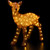 LED Lighted Commercial Grade Acrylic Baby Reindeer Outdoor Christmas Decoration - 23" - IMAGE 3