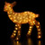 LED Lighted Commercial Grade Acrylic Baby Reindeer Outdoor Christmas Decoration - 23"