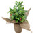 8" Iced Artificial Christmas Holly Berry Plant in Burlap Base - IMAGE 1