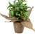 8" Iced Artificial Christmas Holly Berry Plant in Burlap Base - IMAGE 5