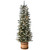 6' Pre-lit Potted Snowy Sheffield Spruce Slim Artificial Christmas Tree, Clear Lights - IMAGE 1