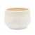 Ceramic Outdoor Grandpa Planter - 6.5" - White and Beige - IMAGE 3