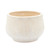 Ceramic Outdoor Grandpa Planter - 6.5" - White and Beige - IMAGE 4