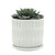 6" White Ceramic Textured Planter with Saucer - IMAGE 2