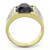 Men's Gold Ion Plated Stainless Steel Ring with Black Jet Onyx Synthetic Stone - Size 11 - IMAGE 3