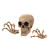 Skeleton Skull and Hands Halloween Wall Decorations - 5.75" - Beige - Set of 3 - IMAGE 1