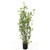 60" Potted Contemporary Artificial Rubber Tree - Unlit - IMAGE 1