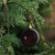 4ct Chocolate Brown Shatterproof Christmas Ball Ornaments 4" (100mm) - IMAGE 3