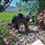 11" Catnapping Cub Sleeping Bear Outdoor Garden Statue - IMAGE 2