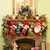 7.25" LED Lighted Marquee Gift Box Christmas Stocking Holder