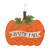 29.75" Orange and Green Pumpkin Outdoor Yard Stake Thanksgiving Sign Decor - IMAGE 2