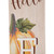 42" Orange and White Pumpkin 'Hello Fall' Thanksgiving Porch Board Sign Decoration - IMAGE 5