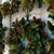 19.5" Brown Unique Adjustable Christmas Wreath Hanger