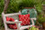 16" x 16" Red and White Anchors Up Outdoor Throw Pillow - IMAGE 2