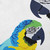 16" x 16" White and Blue Macaw Square Throw Pillow - IMAGE 3