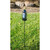 38" Green Outdoor Ground Stake Wine Bottle - IMAGE 1