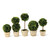 Mini Artificial Boxwood Topiaries in Pots - 7" - Green and Cream - Set of 5 - IMAGE 1