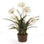 29" White and Green Artificial Agapanthus Drop In - IMAGE 1