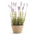 Artificial French Lavender Plant Drop-In with Pot - 21" - Purple and Brown - IMAGE 1