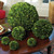 Artificial Boxwood Ball Topiary - 16" - Green - IMAGE 2