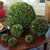 16" Green Contemporary Artificial Boxwood Ball Topiary - IMAGE 2