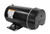 2 HP Black Dual Speed Round Flange Pool Motor - IMAGE 3