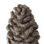 14" Gray and Brown Pine Cone Tabletop Decor - IMAGE 3