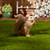 Nibbling Squirrel Garden Statue - 6.75" - Brown and Beige - IMAGE 5