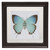 Blue Butterfly Floating Framed Square Wall Art 11" x 11" - IMAGE 1