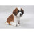 Sitting Saint Bernard Puppy Outdoor Garden Statue - 6.75" - IMAGE 3
