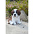 Sitting Saint Bernard Puppy Outdoor Garden Statue - 6.75" - IMAGE 5