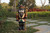 30" King Christmas Nutcracker Outdoor Garden Statue - IMAGE 3