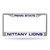 6" x 12" Blue and Gray College Penn State Nittany Lions License Plate Cover - IMAGE 1