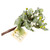 9.5" Green and White Christmas Mistletoe Sprig Spray - IMAGE 1