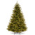 7.5’ Pre-Lit Ridgedale Fir Artificial Christmas Tree, Warm White LED Lights - IMAGE 1