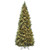 12 ft. Carolina Pine Slim Tree with Clear Lights - IMAGE 1