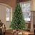 7.5’ x 54” Pre-Lit Full Northern Fir Artificial Christmas Tree - Clear Lights - IMAGE 2