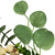 19" Eucalyptus Leaf and White Berry Floral Spring Pick - IMAGE 5
